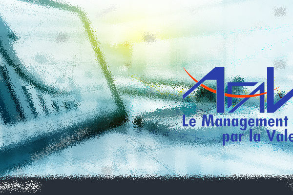 Analyse de la Valeur AFAV
